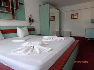 Отель Hotel Cygnus Тулча Люкс с 1 спальней-1